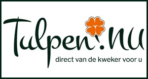 Tulpen.nu